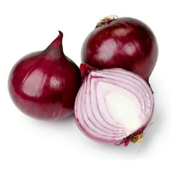 Frozen Onion (1)-9983896-64068.webp